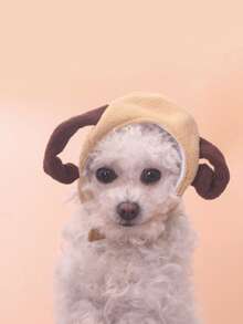 1pc Cartoon Sheep Design Pet Headwear - Brown - View 4