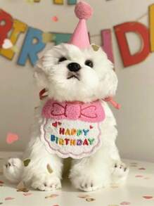 Bộ phụ kiện thú cưng - Hồng - Xem 2