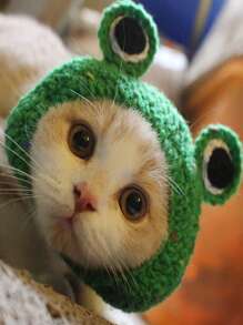 Frog Design Pet Headwear - Green - View 6