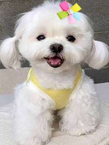 2pcs Floral Design Pet Hair Clip - Multicolor - View 3