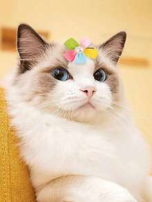 2pcs Floral Design Pet Hair Clip - Multicolor - View 5