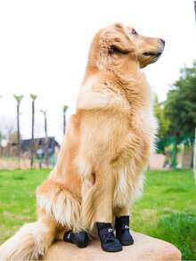 2入組字母圖案寵物黑色防水防滑寵物靴子適用於狗狗適用於戶外