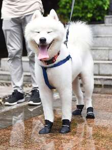 2入組字母圖案寵物黑色防水防滑寵物靴子適用於狗狗適用於戶外