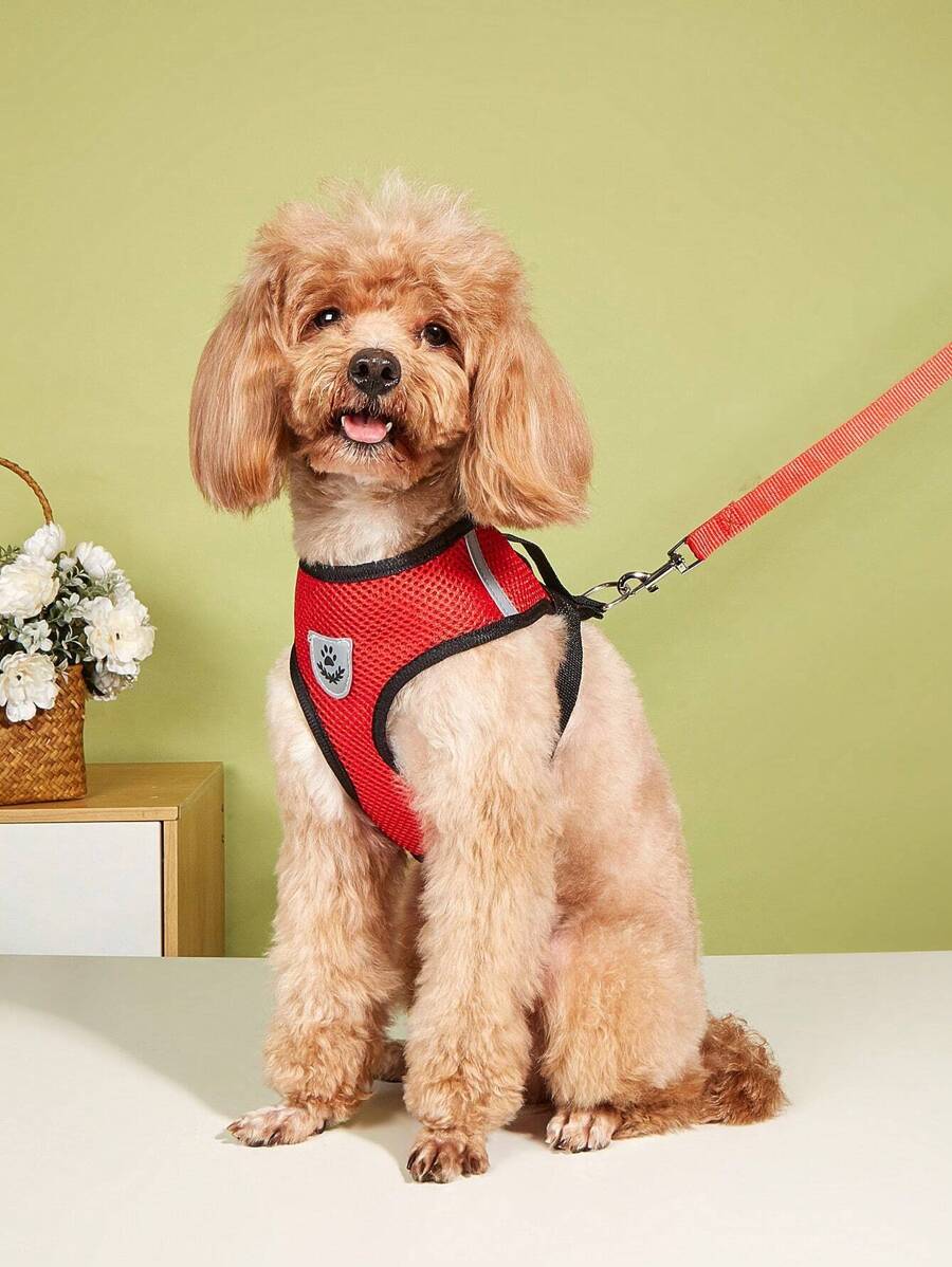 1pc Contrast Binding Pet Harness & 1pc Pet Leash