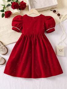 SHEIN Young Girl Contrast Lace Puff Sleeve Button Front Dress