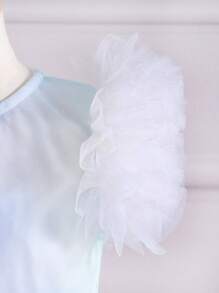 SHEIN Đầm em bé Tương phản Mesh Xù Ombre - Nhiều màu - Xem 4