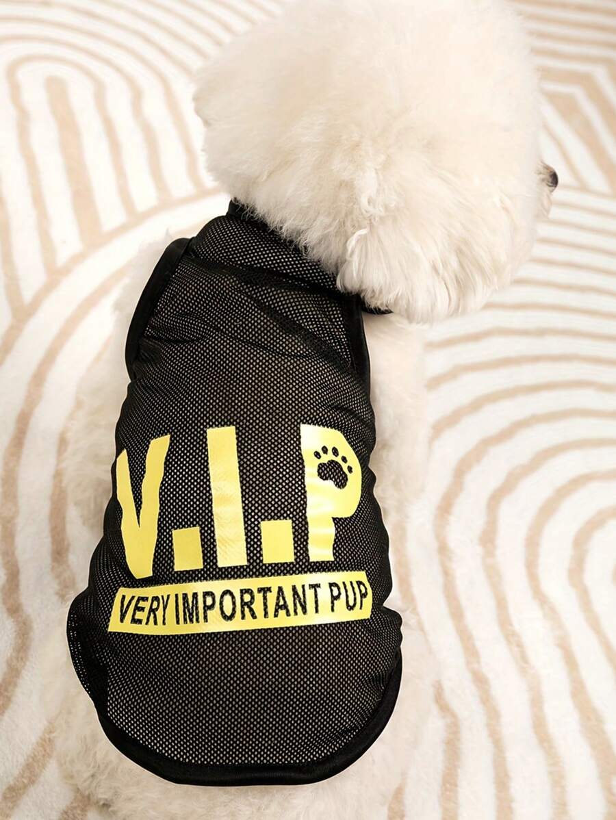 1 gói áo phông thú cưng có chữ, quần áo thú cưng màu đen dễ thương - màu đen - Xem 1