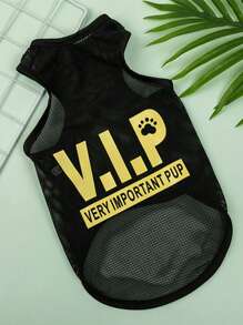 1 gói áo phông thú cưng có chữ, quần áo thú cưng màu đen dễ thương - màu đen - Xem 4