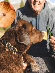 3pcs ABS Random Pet Tick Removal Tool For Cat & Dog For Cleaning - Multicolor - View 5