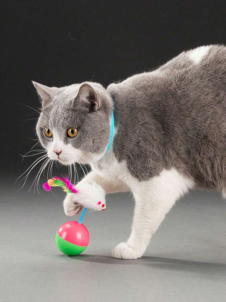 1 pieza Juguete para gato con diseño de ratón al azar para gato para jugando - Multicolor - Ver 1