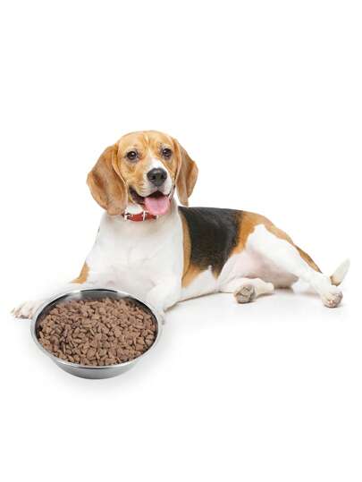 Supet 1入組貓狗不銹鋼寵物碗