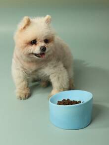 1 Bát Màu Trơn Cho Thú Cưng, Bát Tròn Bền Đẹp Cho Mèo, Chó Ăn Uống - Màu xanh lam - Xem 1