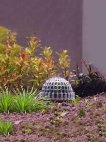 Vỏ bảo vệ thực vật 1 cái - trắng - Xem 1