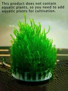 Vỏ bảo vệ thực vật 1 cái - trắng - Xem 5