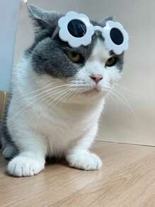 1pc Colorful Flower Design Pet Sunglasses For Cat Or Small Dog - White - View 1