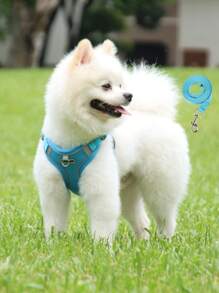 1pc Two Tone Patch Decor Pet Harness & 1pc Leash Set For Dog For Outdoor - Blue - View 2