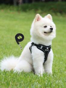 1pc Two Tone Patch Decor Pet Harness & 1pc Leash Set For Dog For Outdoor - Black - View 2