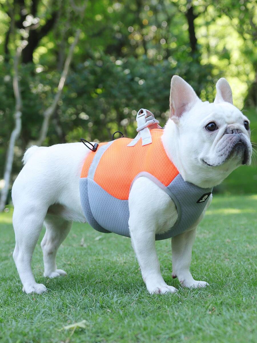 1pc Color Block Pet Harness For Dog And Cat For Summer - Orange - View 1