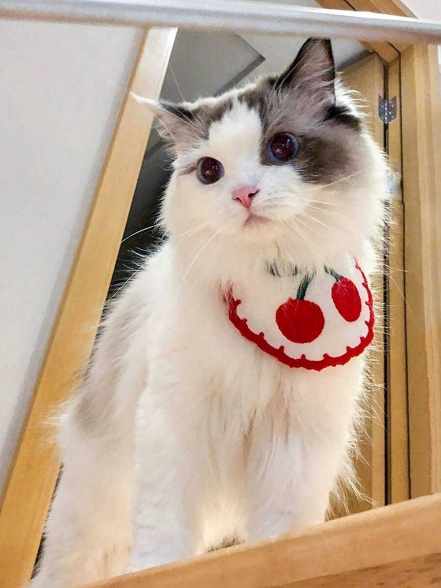 1pc Acrylic Cherry Pattern Pet Bib For Cat And Dog For Decoration - Red - View 1