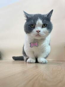 1入組防丟小狗貓身份標籤寵物狗狗項圈配件個性化不銹鋼骨造型 - 粉色 - 查看 2