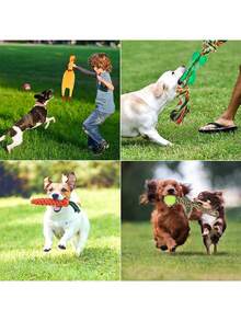 10pcs Pet Chew Toy Set For Dog For Teeth Grinding - Multicolor - View 2