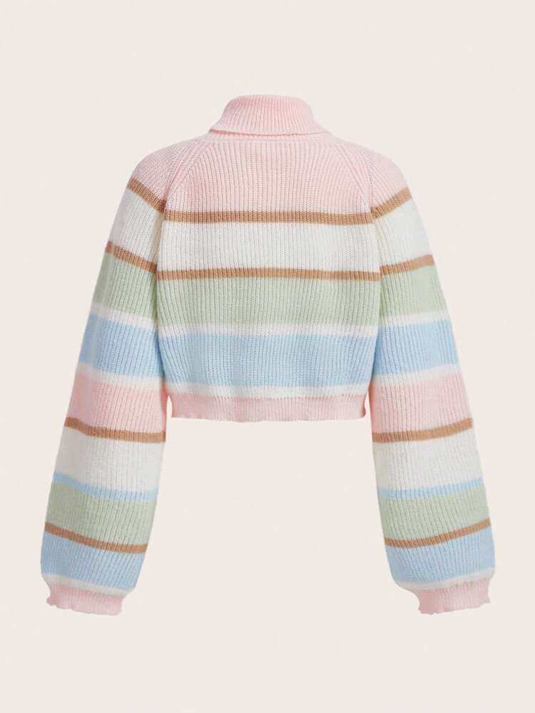 Bear Embroidery Striped Pattern Colorblock Raglan Sleeve Mock Neck Sweater