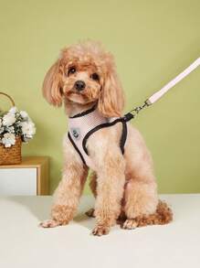 1 dây nịt cho thú cưng có viền so sánh và 1 dây xích cho thú cưng - Hồng - Xem 1