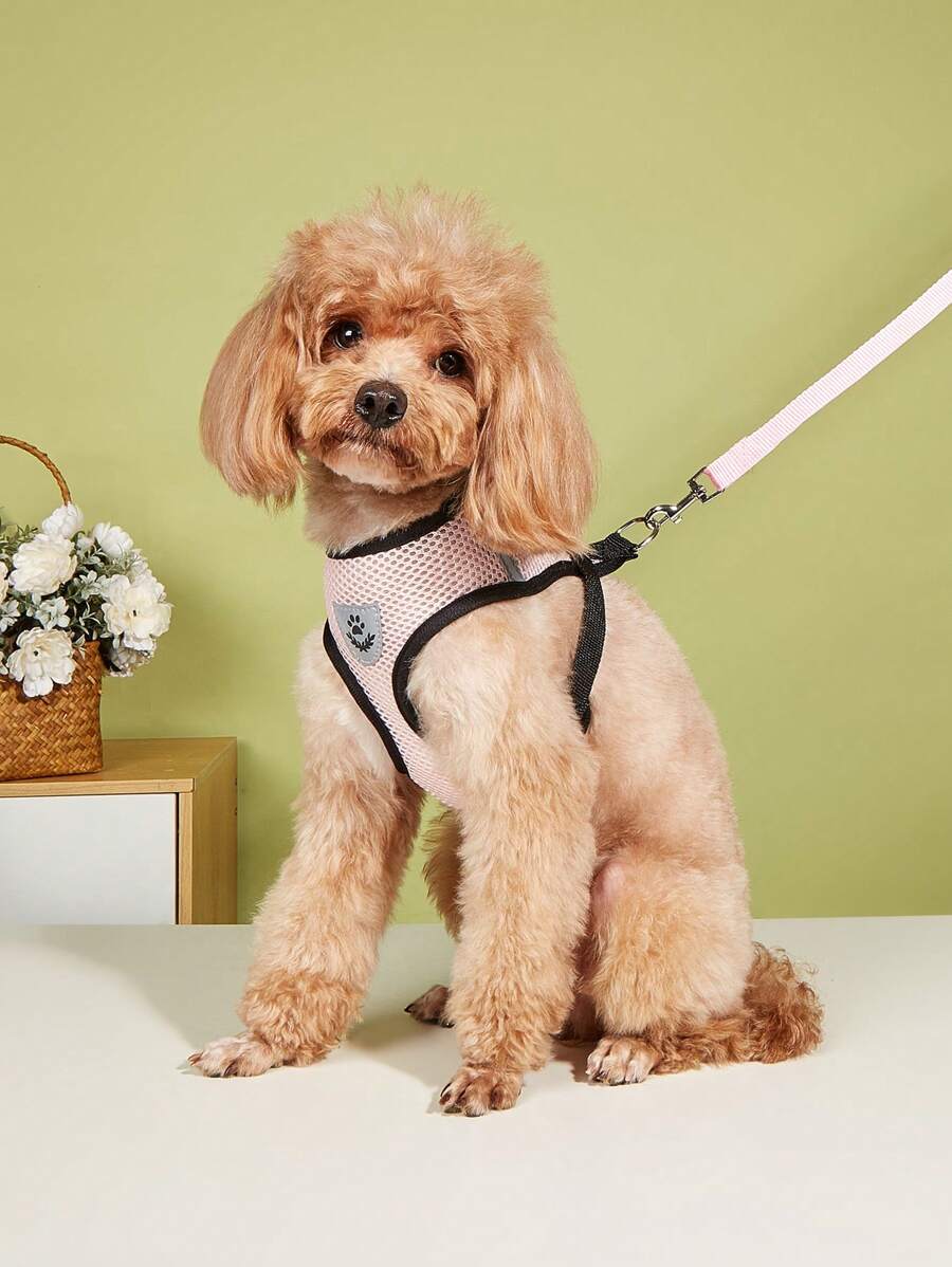 1 dây nịt cho thú cưng có viền so sánh và 1 dây xích cho thú cưng - Hồng - Xem 1