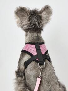 1 dây nịt cho thú cưng có viền so sánh và 1 dây xích cho thú cưng - Hồng - Xem 2