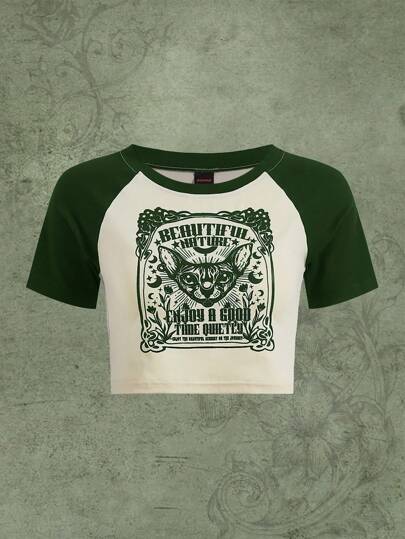 Fairycore Letter Graphic Raglan Sleeve Tee