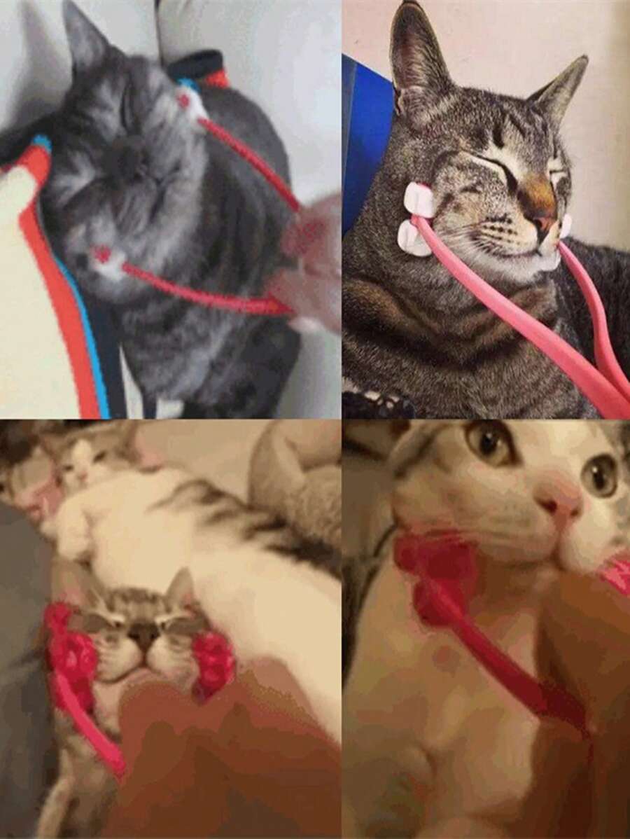 1 máy mát xa thú cưng đa chức năng cho chó và mèo cho tất cả các mùa - Màu xanh lam - Xem 1