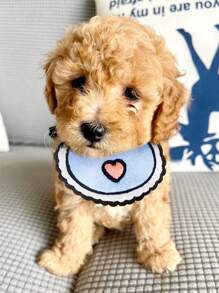 1入組亞克力愛心圖案寵物圍兜適用於貓和狗狗適用於裝飾用品 - 藍色 - 查看 4