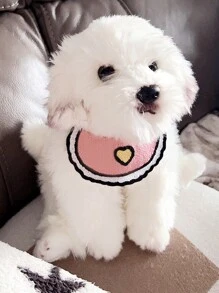 1入組亞克力愛心圖案寵物圍兜適用於貓和狗狗適用於裝飾用品 - 藍色 - 查看 7