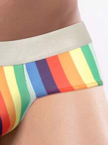 Men Striped Print Brief Pride - Multicolor - View 3