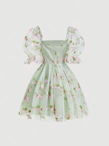SHEIN MOD Puff Sleeve Floral Embroidery Mesh Overlay Green Summer Short Sleeves Dress,Pastel Dresses For Women