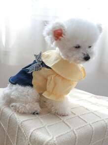 Váy Thú cưng - Màu xanh lam - Xem 4