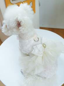 1 Váy Thú Cưng Trang Trí Nơ, Váy Thú Cưng Mềm Mại Thoáng Khí Màu Trắng Cho Mùa Hè Cho Chó Mèo - trắng - Xem 5