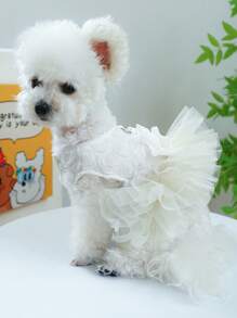 1 Váy Thú Cưng Trang Trí Nơ, Váy Thú Cưng Mềm Mại Thoáng Khí Màu Trắng Cho Mùa Hè Cho Chó Mèo - trắng - Xem 6
