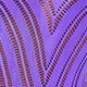 Lilac Purple