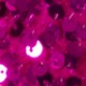 Rosa Fucsia