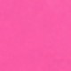 Rosa Fucsia