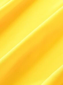 SHEIN Clasi Plus Contrast Mesh Solid Dress