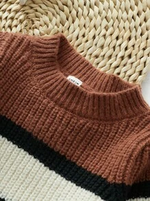 SHEIN Chàng trai trẻ Khối màu Đồ đan Ribbed Áo len - Nhiều màu - Xem 7