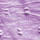 Màu Lilac Tím
