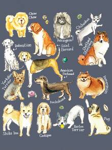 JOLLY by Jiajia 狗狗和字母圖案落肩袖超大號T恤 - 霧霾藍 - 查看 2