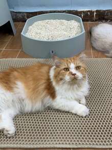 1入組編織貓砂墊