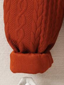 SHEIN Young Boy Solid Hoodie & Trousers - Rust Brown - View 3