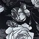 Blanco y Negro