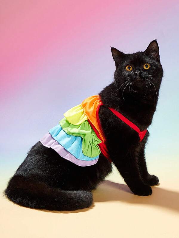 1pc LGBT Colorblock Pet Dress For Cats & Dogs