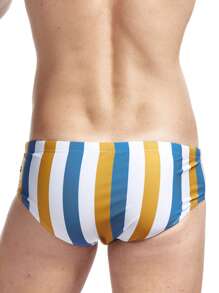 Men Striped Print Swim Brief - Multicolor - View 2